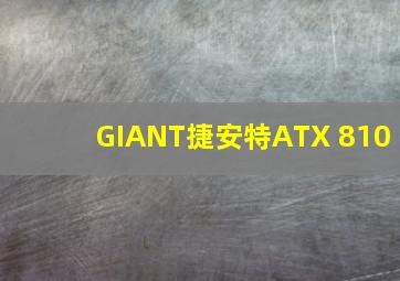 GIANT捷安特ATX 810